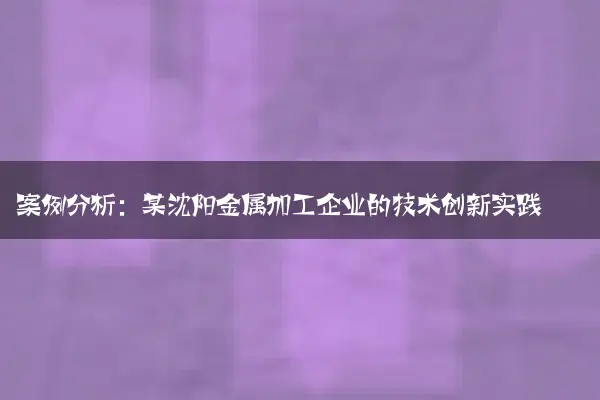 案例分析：某沈阳金属加工企业的技术创新实践