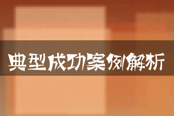 典型成功案例解析