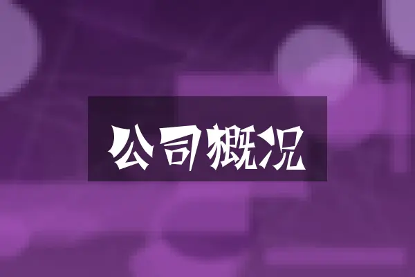 公司概况